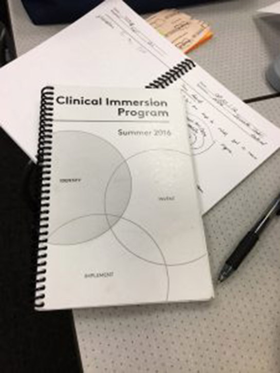 Clinical Immersion Program