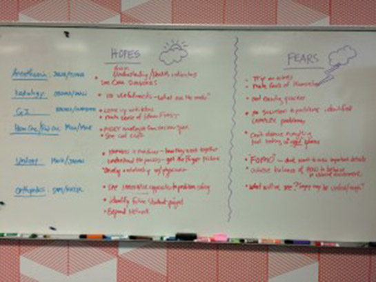 “Hopes and Fears” group exercise